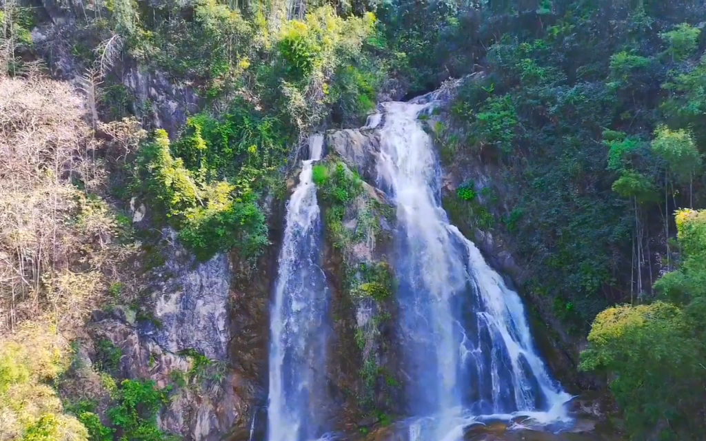 乐昌白水寨生态园竹林瀑布群