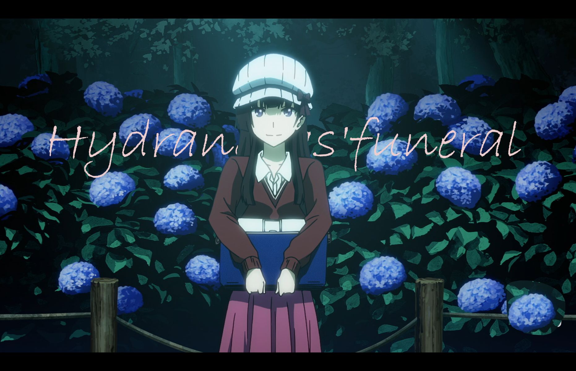 【散华礼弥xduvet】紫 阳 花 的 葬 礼(hydrangeas funeral) 大学生