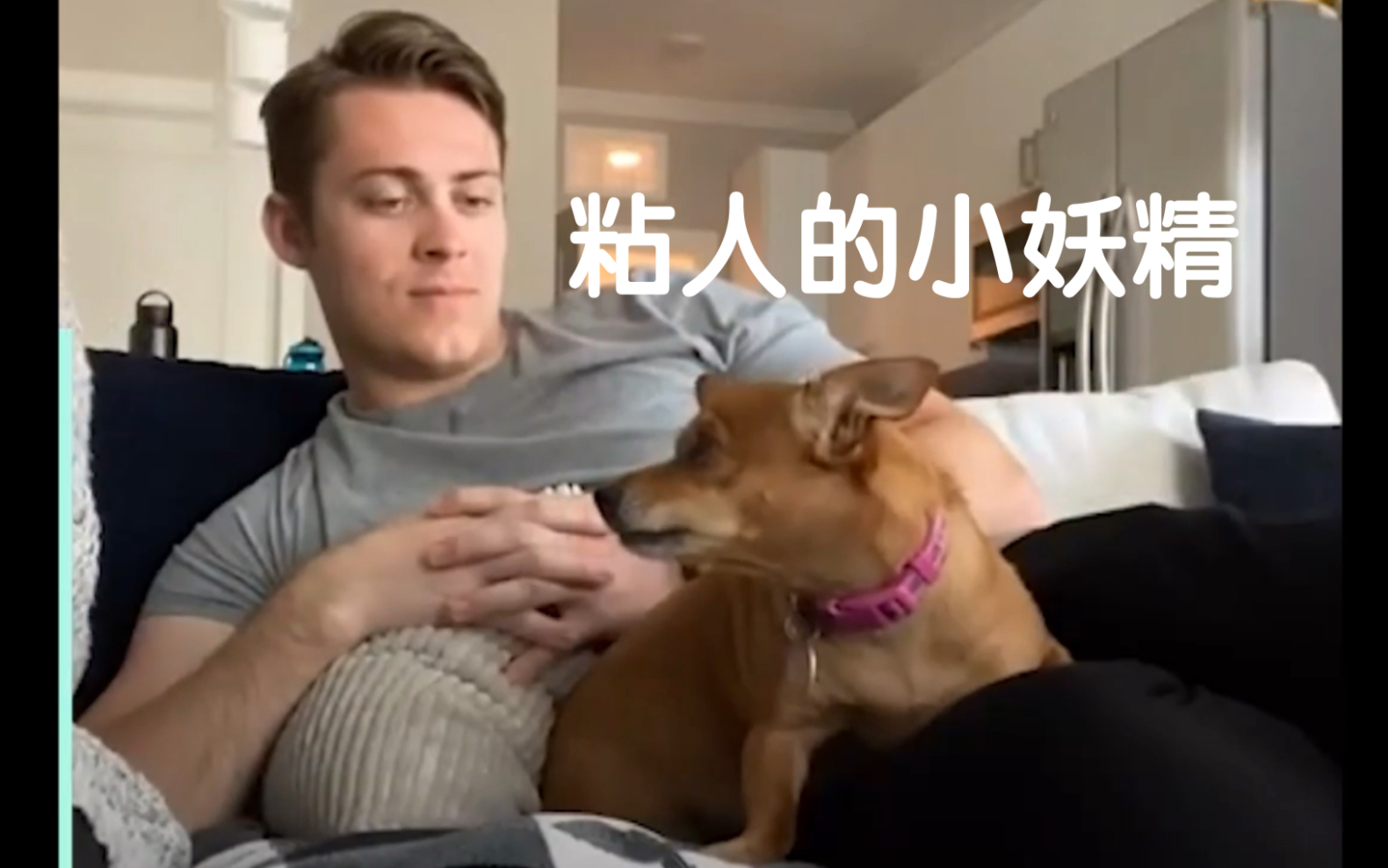 比男(女)朋友还粘人的小妖精.你不了解一下吗?