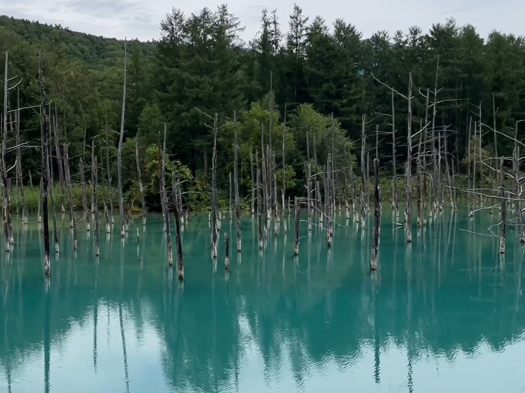 北海道青池
