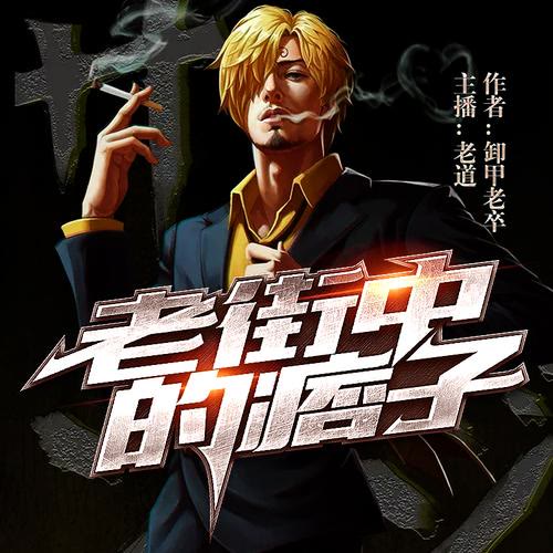 老街中的痞子主播老道有声书110章