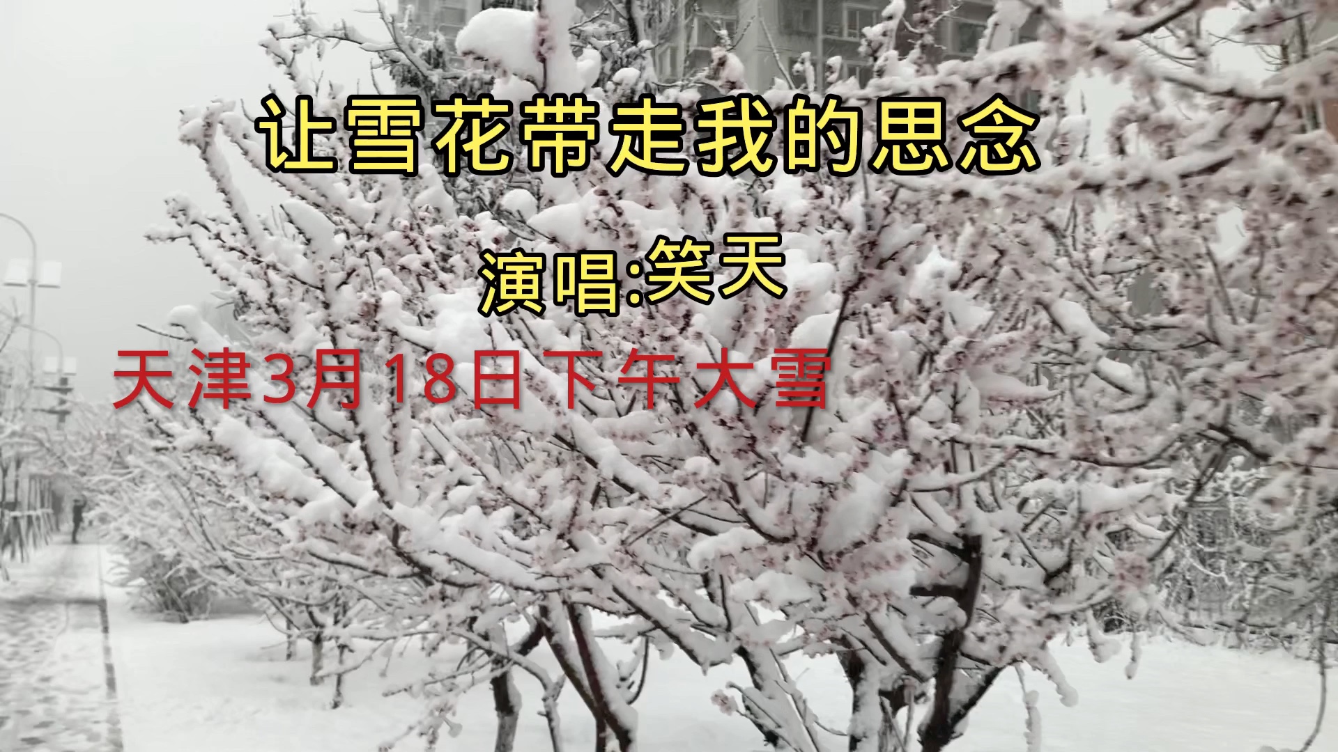 [图]一首笑天的歌曲（让雪花带走我的思念）分享给朋友们