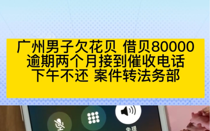 广州男子欠花呗借呗80000,逾期两个月后接到催收电话,下午不还案件就转法务部!哔哩哔哩bilibili