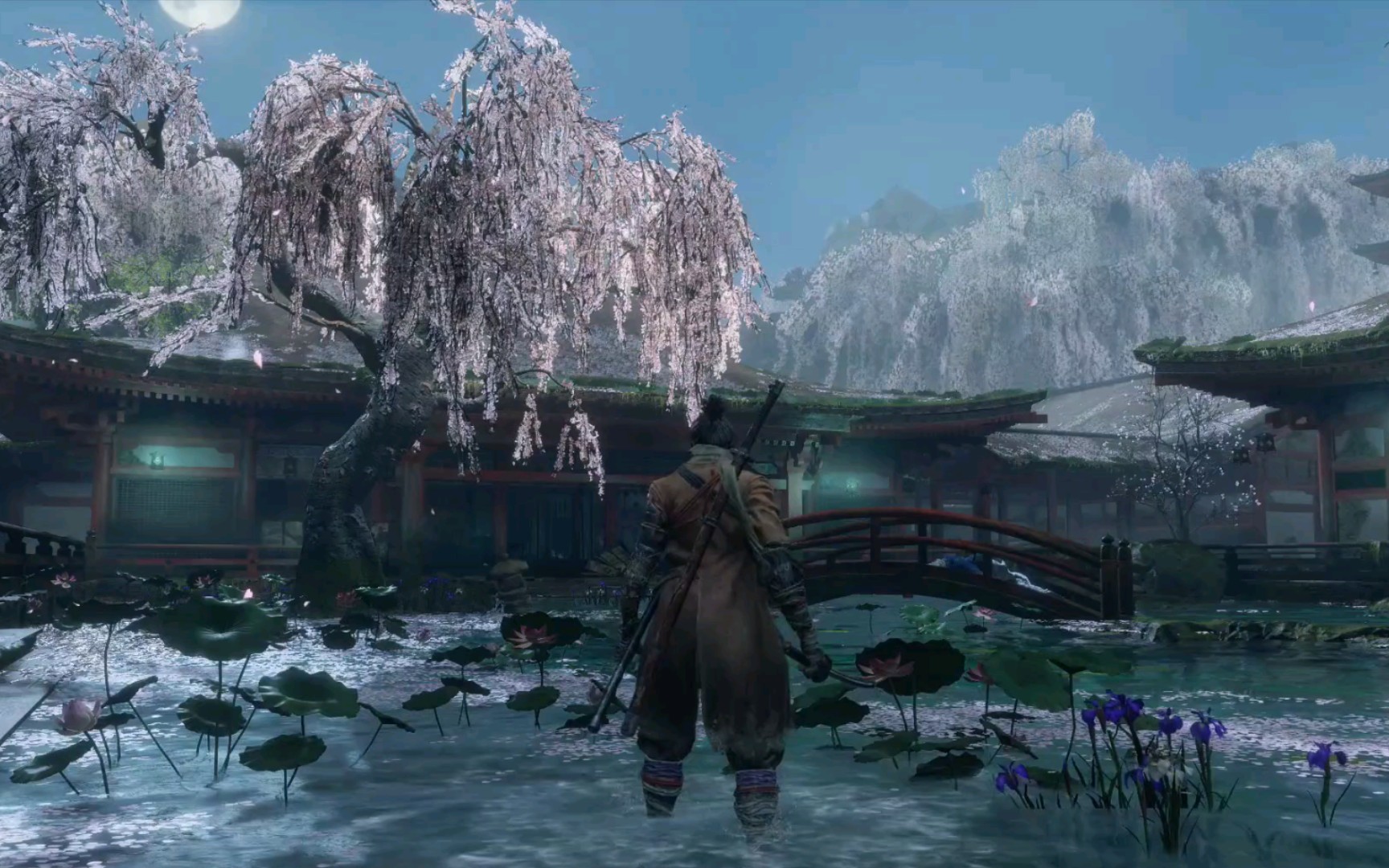 进来感受源之宫的奇幻色彩‖只狼影逝二度