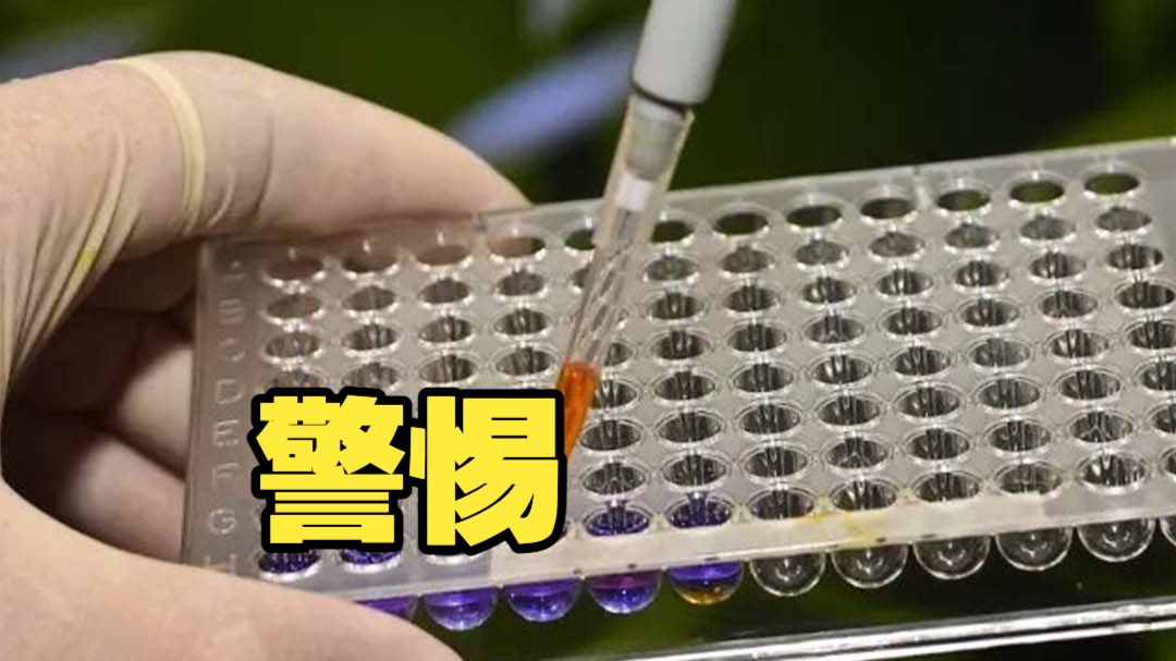 个别境外组织非法采集人血样 国安部：警惕！窃取我国基因资源 走私团伙以“医疗检测”为名 将超10万份孕妇血样偷运出境 若被用于研发“基因武器