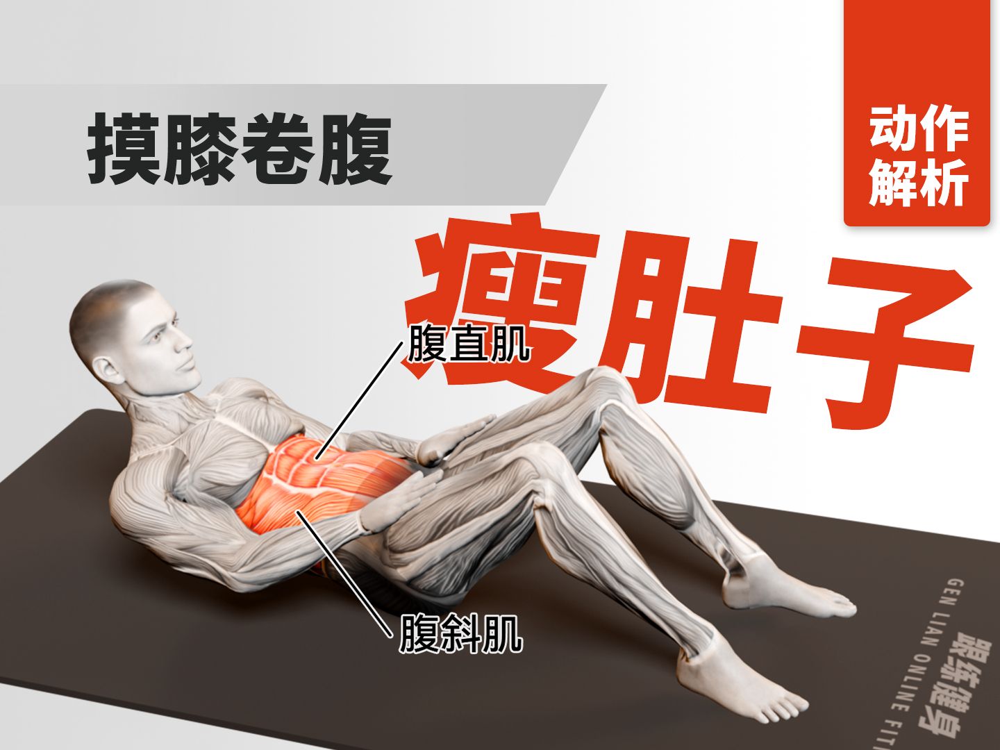 【摸膝卷腹】徒手健身动作解析