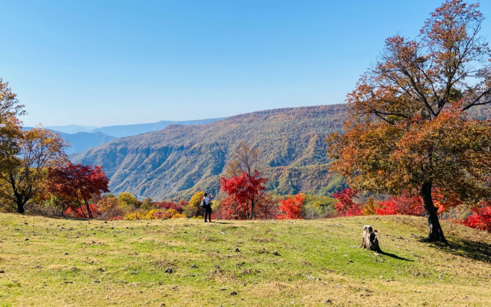 吉林省金华高山草原 秋色怡然