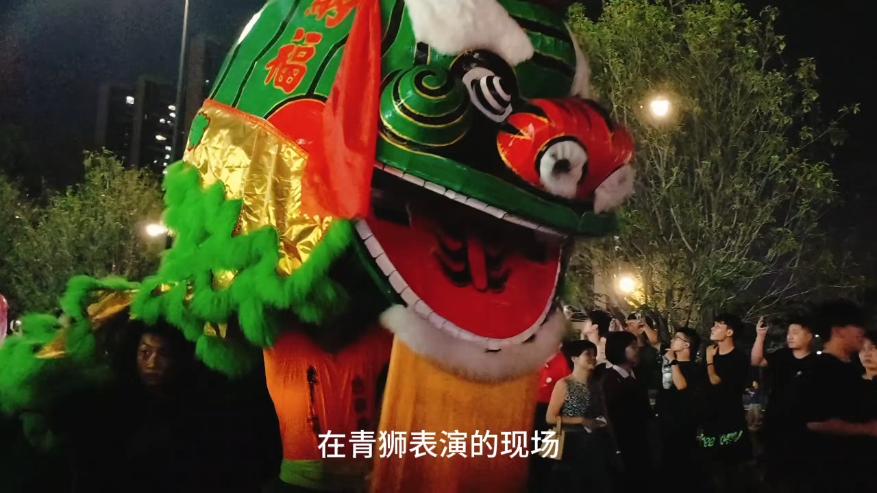 潮汕青狮图片