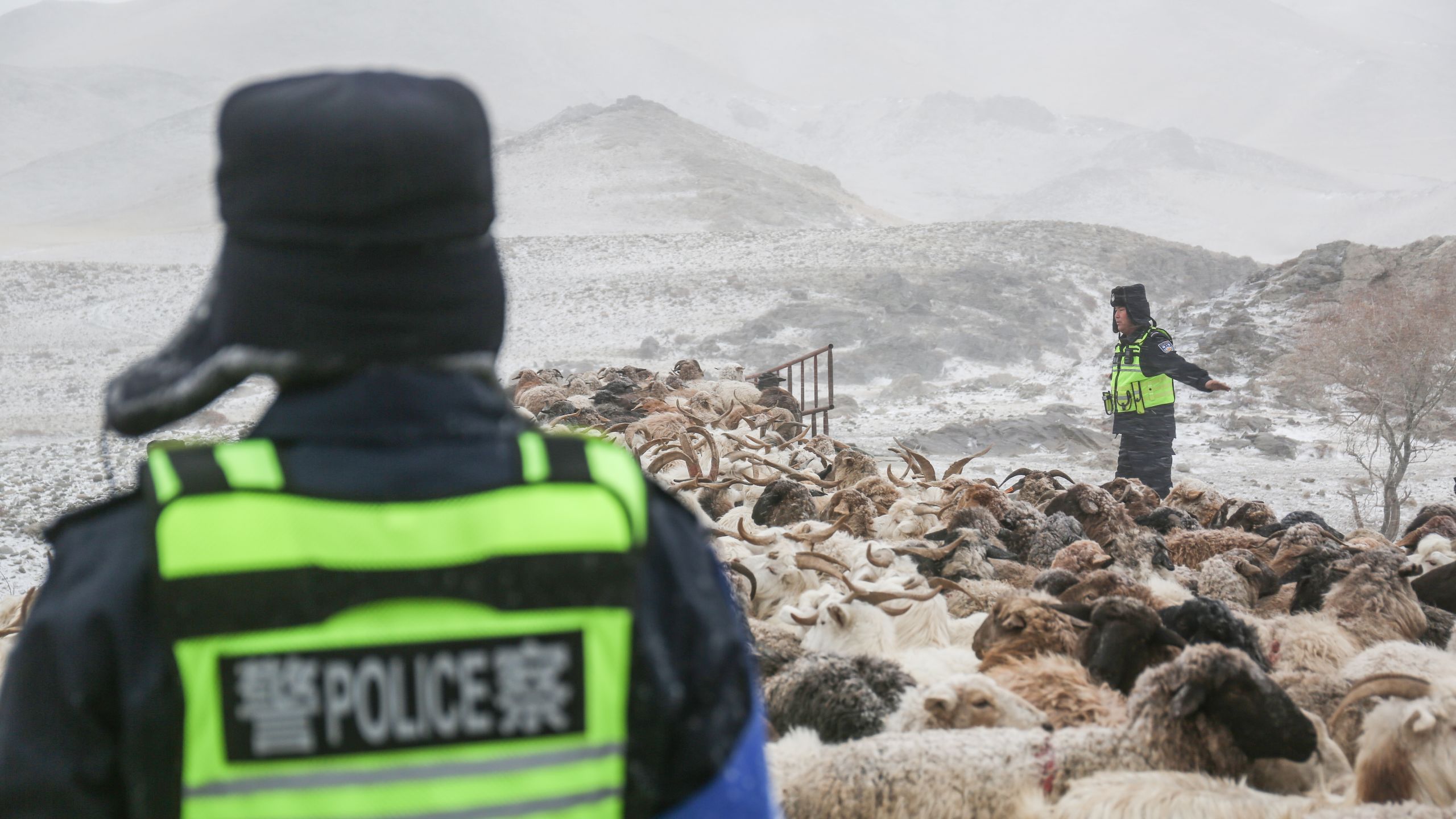 风雪无阻！新疆警察在大雪中护航牧民转场 >>