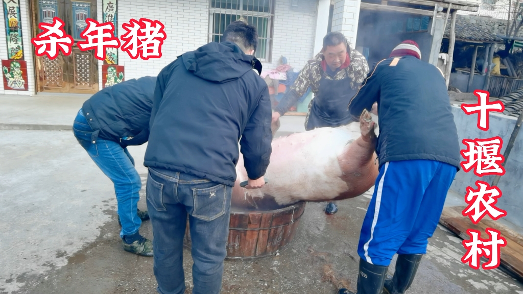 十堰农村传统习俗过了冬至节气开始杀年猪,这样的土猪肉格外好吃哔哩哔哩bilibili