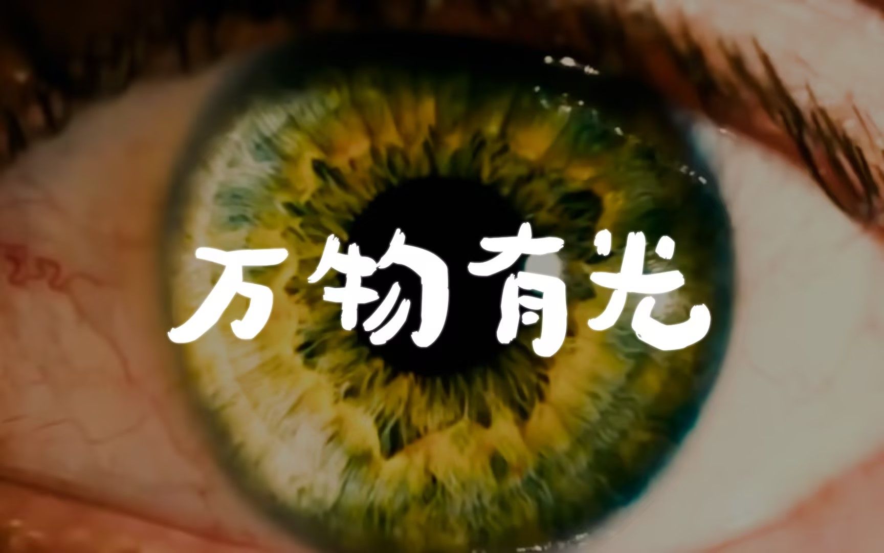 【纪录片发布会】时隔两年,他们又来了!