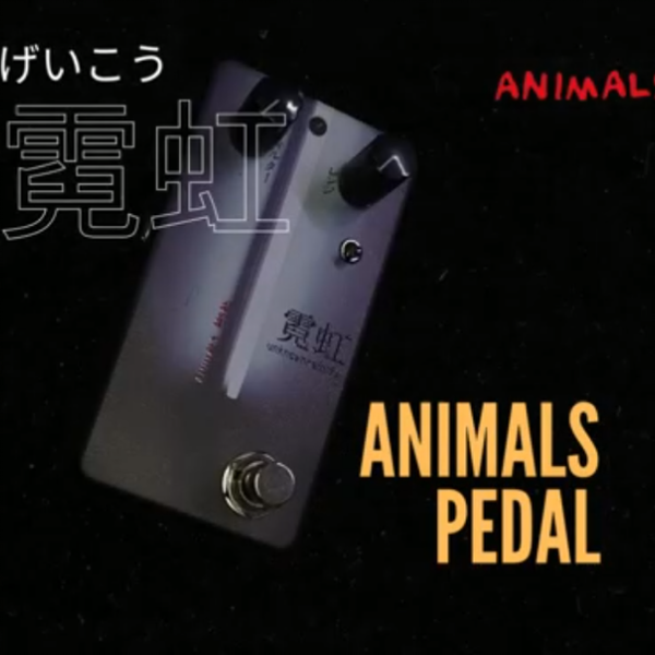 アニマルズペダル　霓虹 Animals Pedal 新年新品「霓虹」。_哔哩哔哩_bilibili