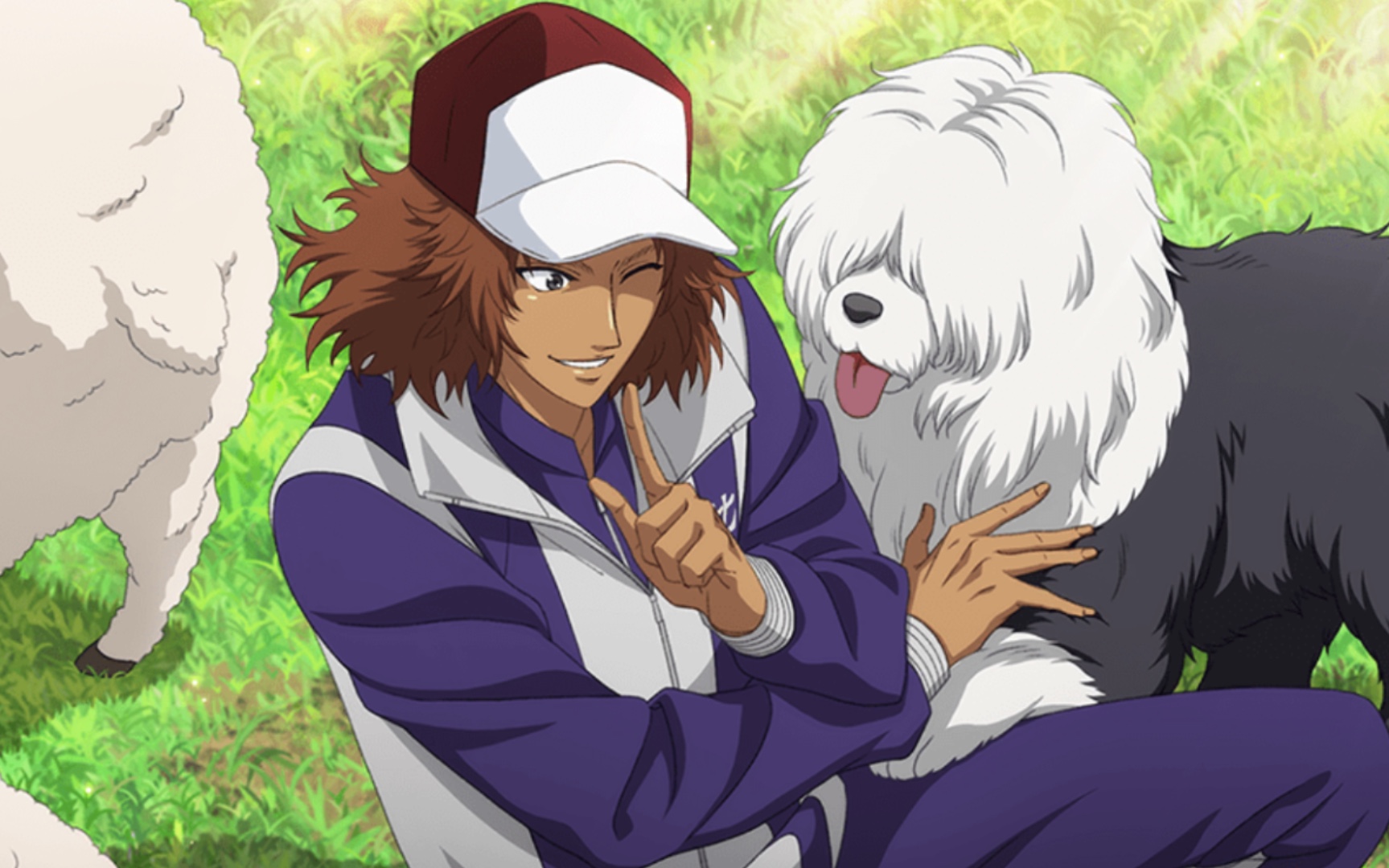 8.27甲斐裕次郎的生日