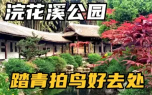 Download Video: 33度高温游成都浣花溪公园，是个踏青拍鸟好去处，好怕被鸟屎砸到