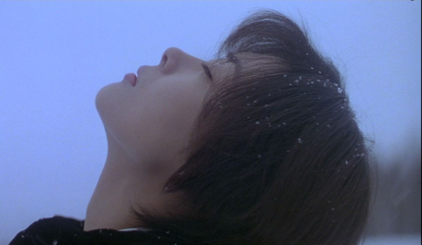 "可惜他不会再知道,藤井树也喜欢着你"