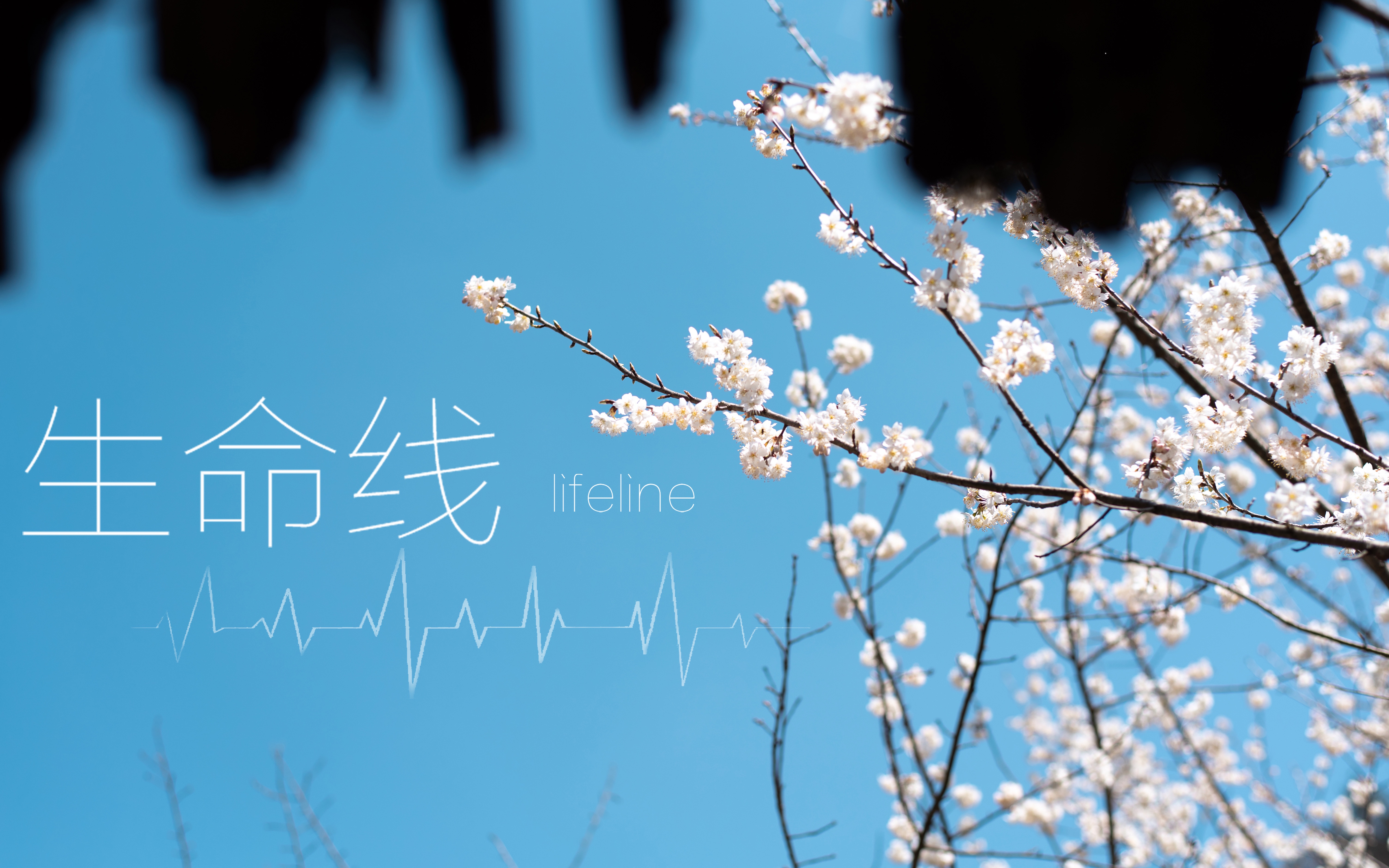 短片生命线lifeline