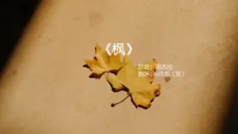 Descargar video: 你知道枫最后的那句歌词是什么吗枫周杰伦唱歌DOU小助手抖音小