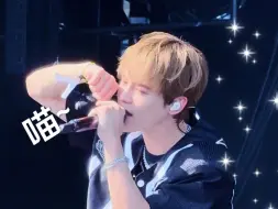 Download Video: 【钟辰乐】逗猫棒超烫！咪咪热化了！Summer Sonic in OSAKA 240818