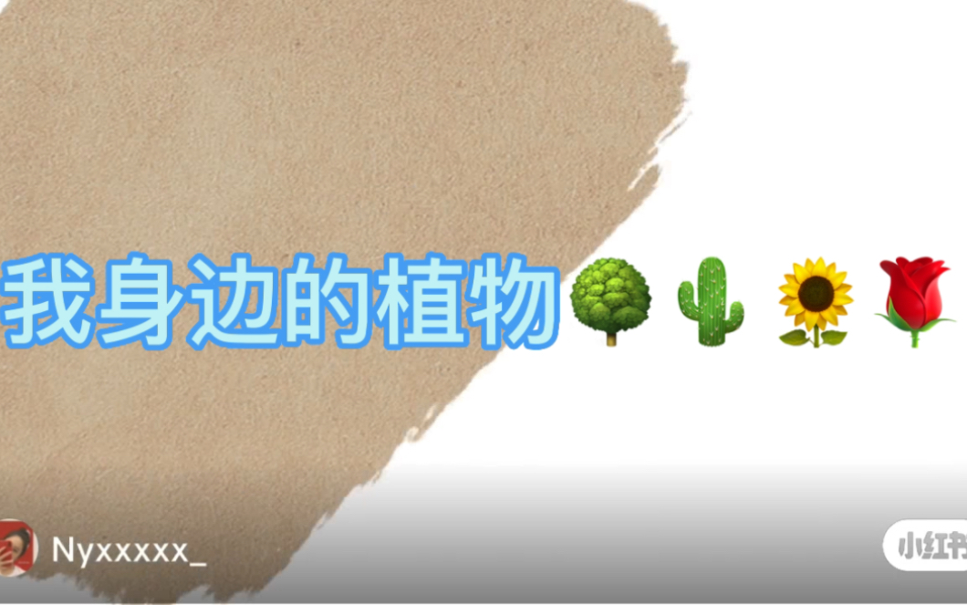 美术《我身边的植物》哔哩哔哩bilibili