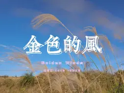 Video herunterladen: 严冬前最后一缕金色的风