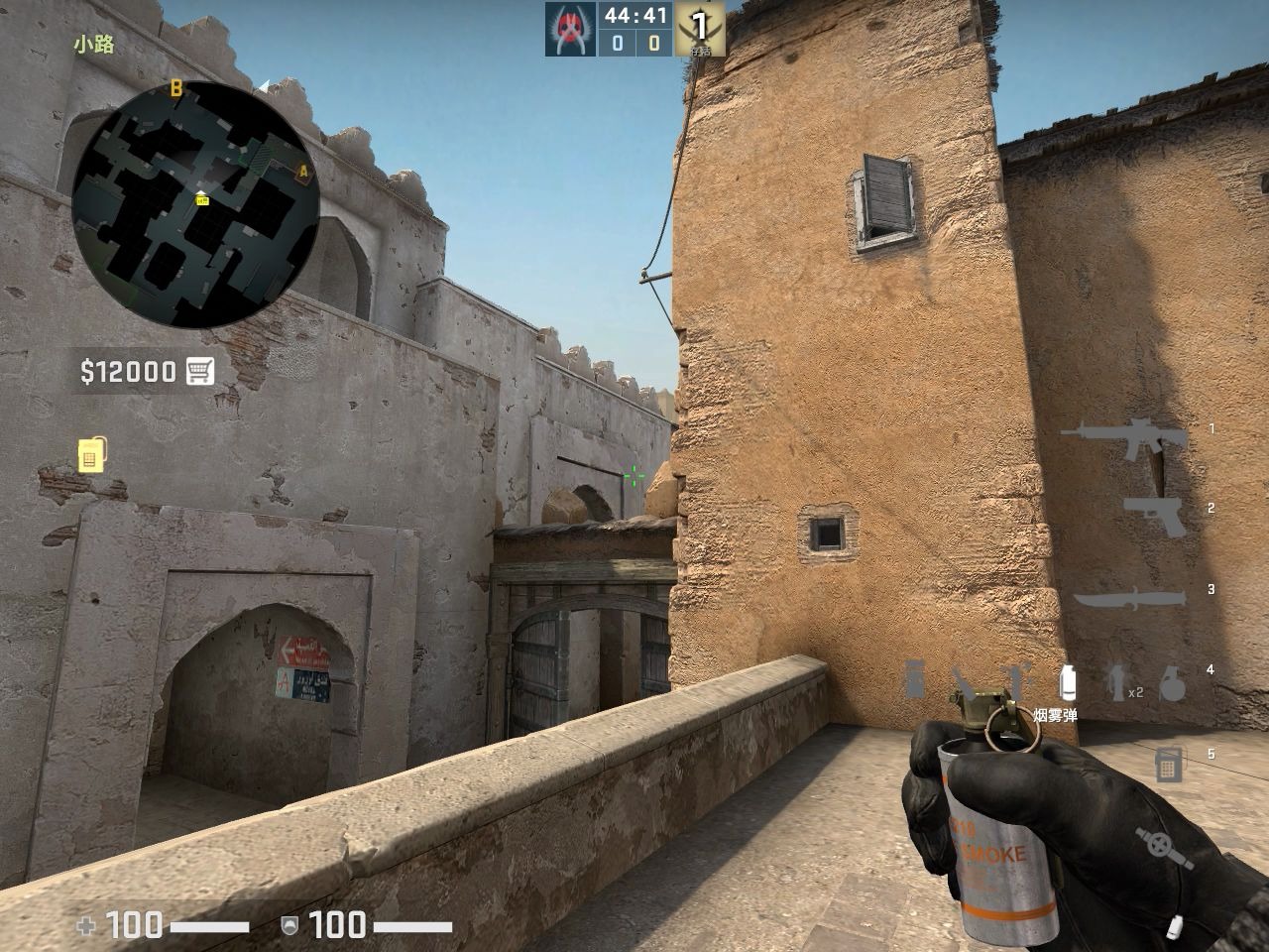 【AlvaCSGO】新版dust2残局无敌骗烟+小道无敌闪光。_哔哩哔哩_bilibili