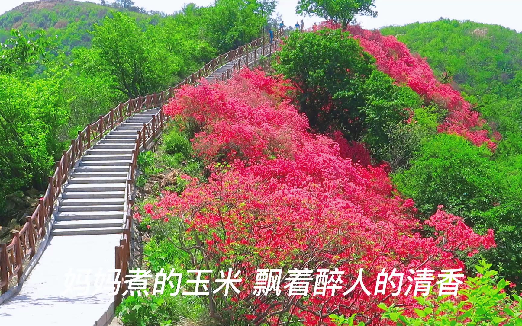4月22日孙艺琪——乡情(风筝)
