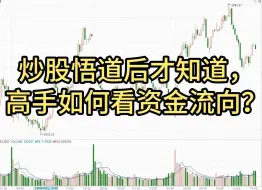 Descargar video: 炒股悟道后才知道，高手如何看资金流向？