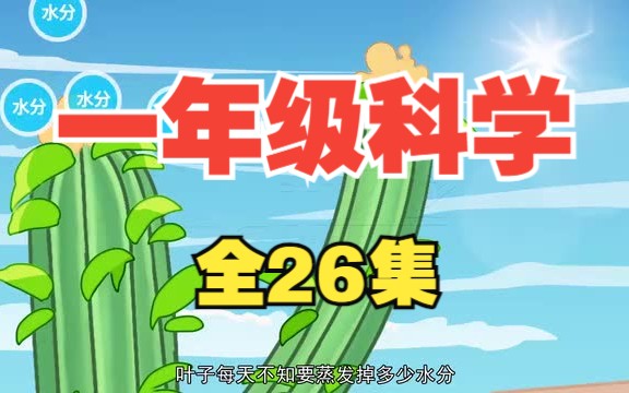 小学科学一年级科学上册 教科版 2024新版 教育科学出版社 小学科学1年级科学上册哔哩哔哩bilibili