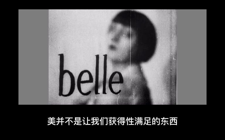 《拉康论爱》第七章:拉康论美哔哩哔哩bilibili