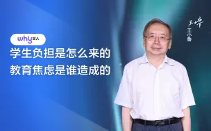 Descargar video: 王小鲁：学生负担是怎么来的，教育焦虑是谁造成的？