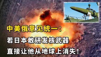 中美俄意见统一：若日本敢研发核武器，直接让他从地球上消失！