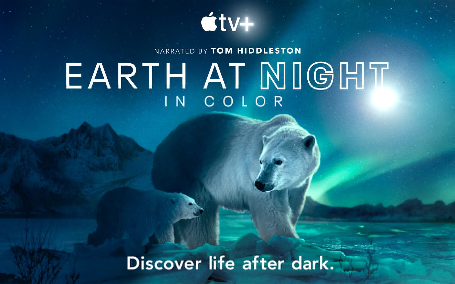 [英语中字][Apple TV+]夜色中的地球 第二季 Earth at Night in Color Season 2 (2021)哔哩哔哩bilibili