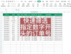 Download Video: 快速筛选指定数字开头的订单编号