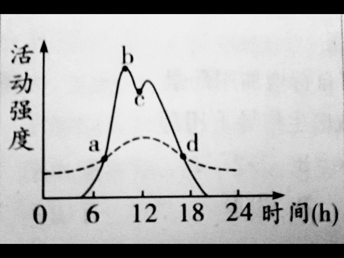 課代表帶領決戰會考專題分析座標曲線植物一天光合作用和呼吸作用的