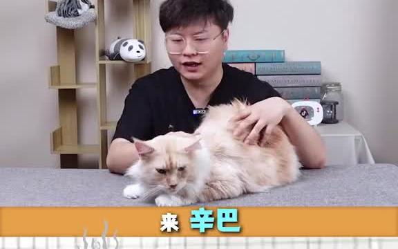 [图]你以为是它是个猛男，其实是个粘人精