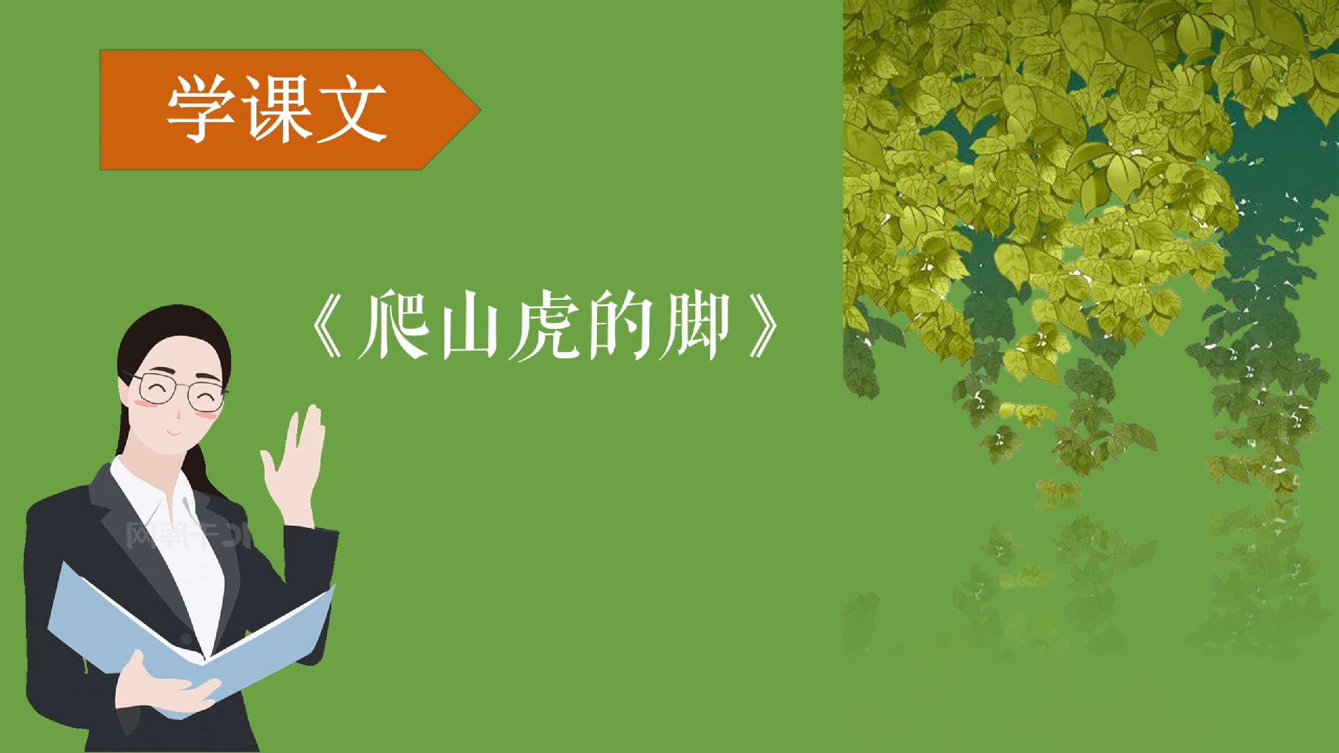 【微课视频】爬山虎的脚