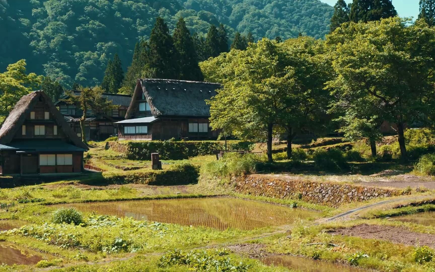 [图]【世界遺産】五箇山风景区-日本富山县古村落