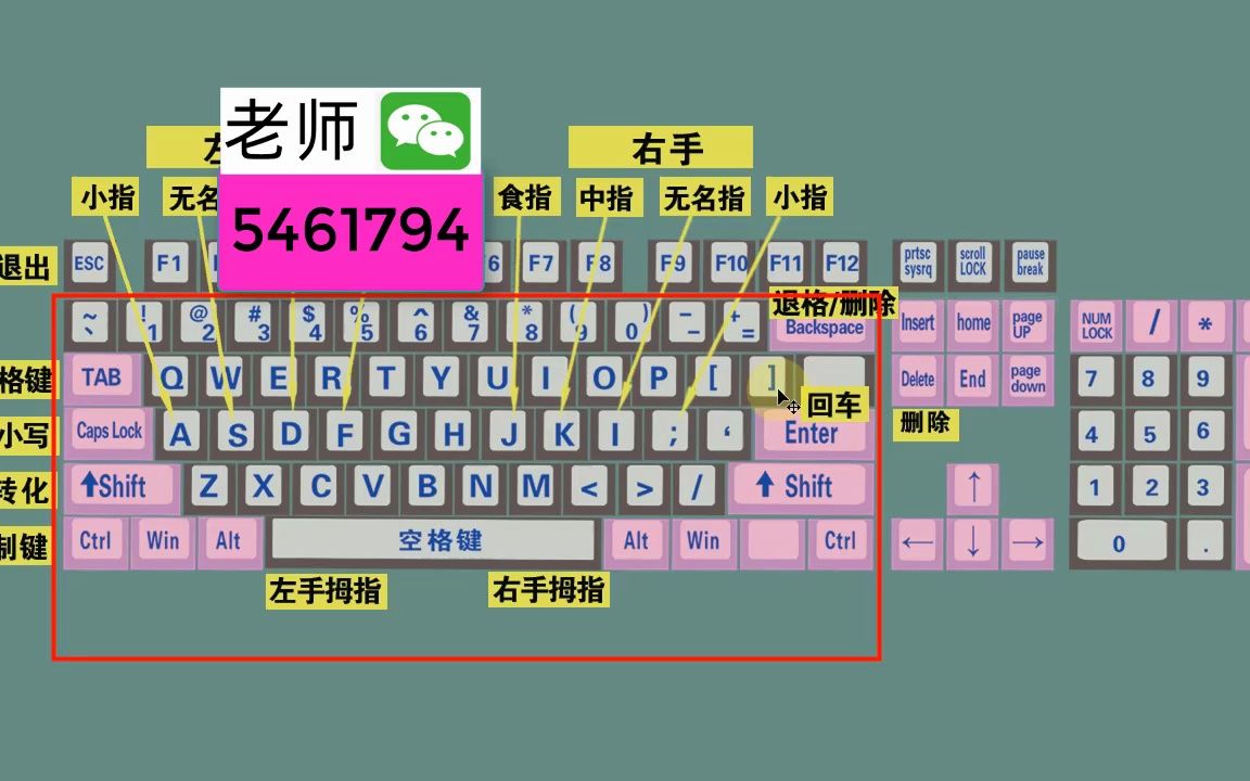 零基礎電腦知識,掌握鍵盤標準指法,打字速度和準確率都可以提高