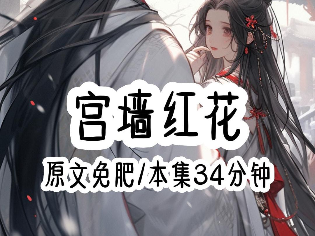 宫墙红花 34分钟哔哩哔哩bilibili