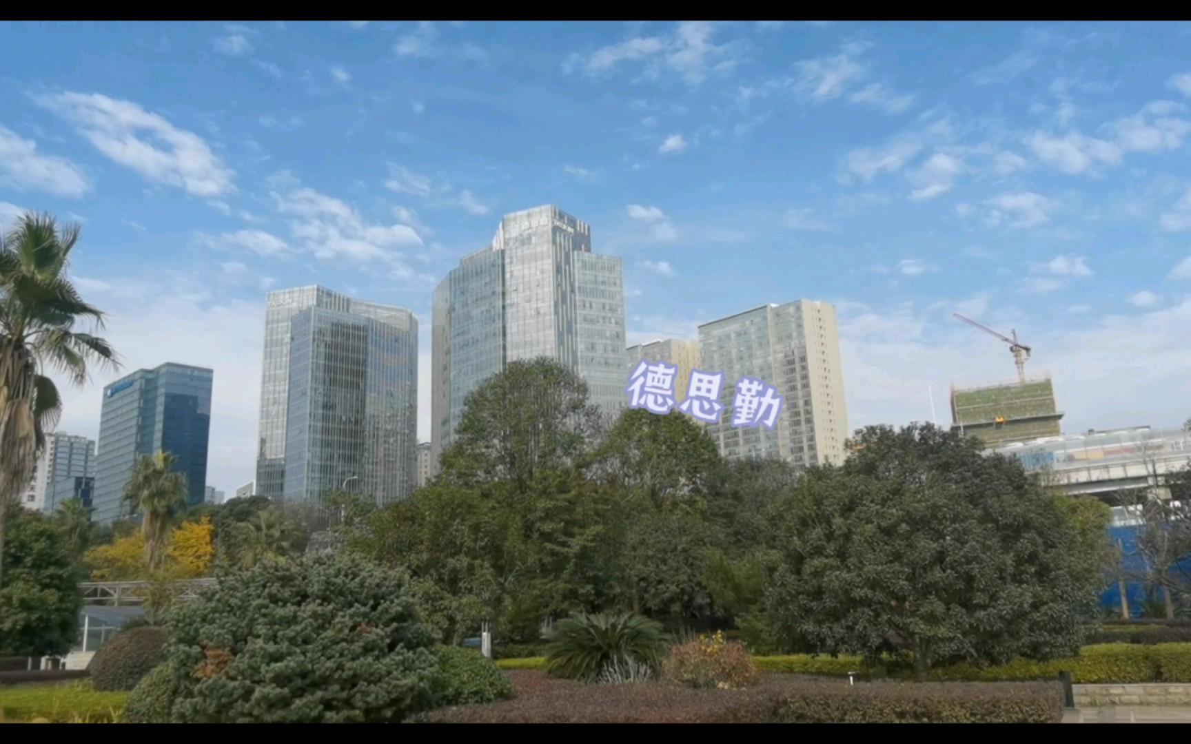 周末来德思勤附近溜达,感受冬日暖阳