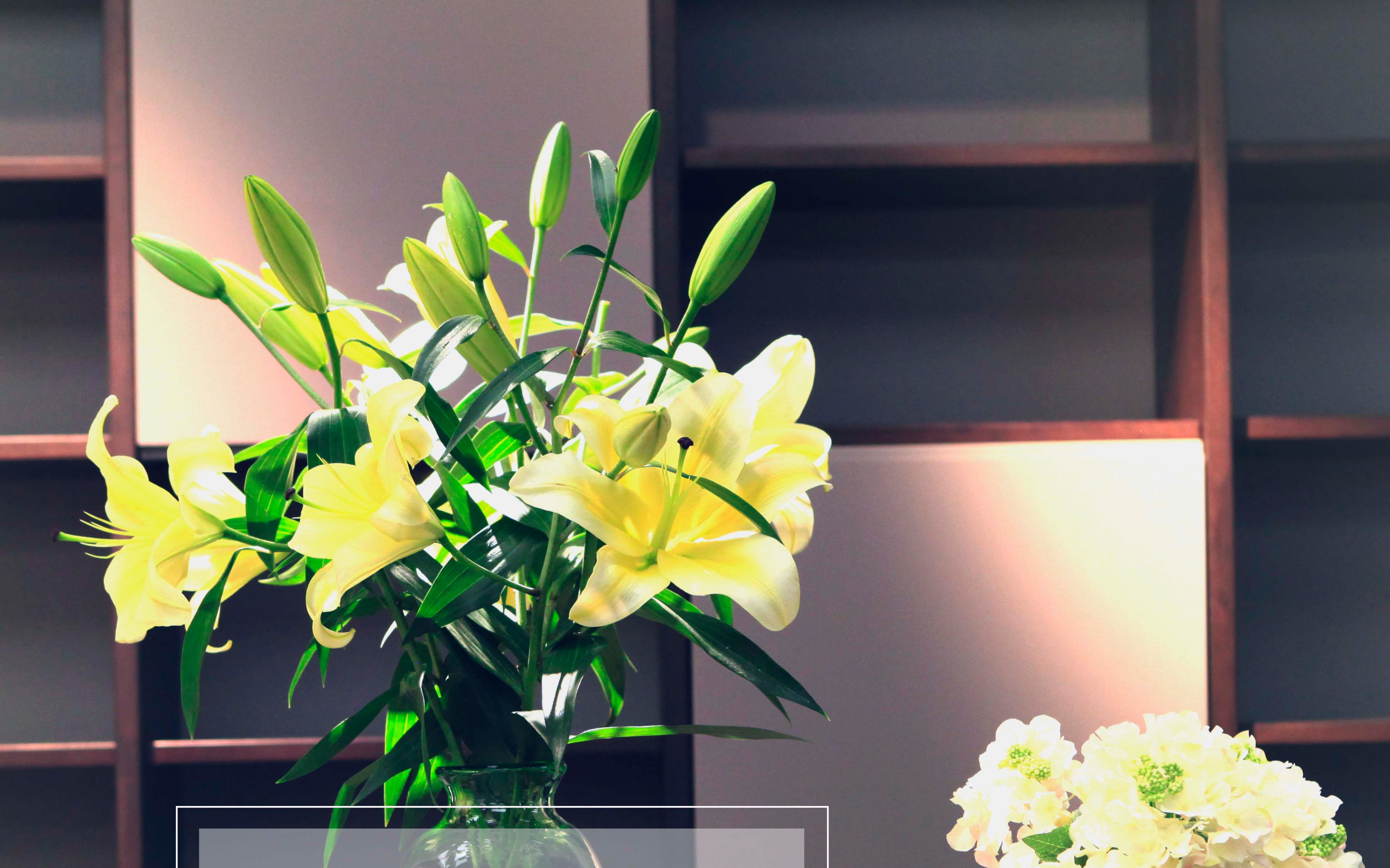 轻奢花艺零基础教学----第1课 基本花器工具花材介绍