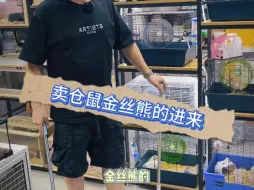 Tải video: 不过分吧！这个要求。#我的要求不算高 #当你们遇到这种情况的时候你们会怎么选择 #机智如我 贵阳爬宠异宠萌宠异族小宠#贵阳宠物店 #宠物店店主 老袁