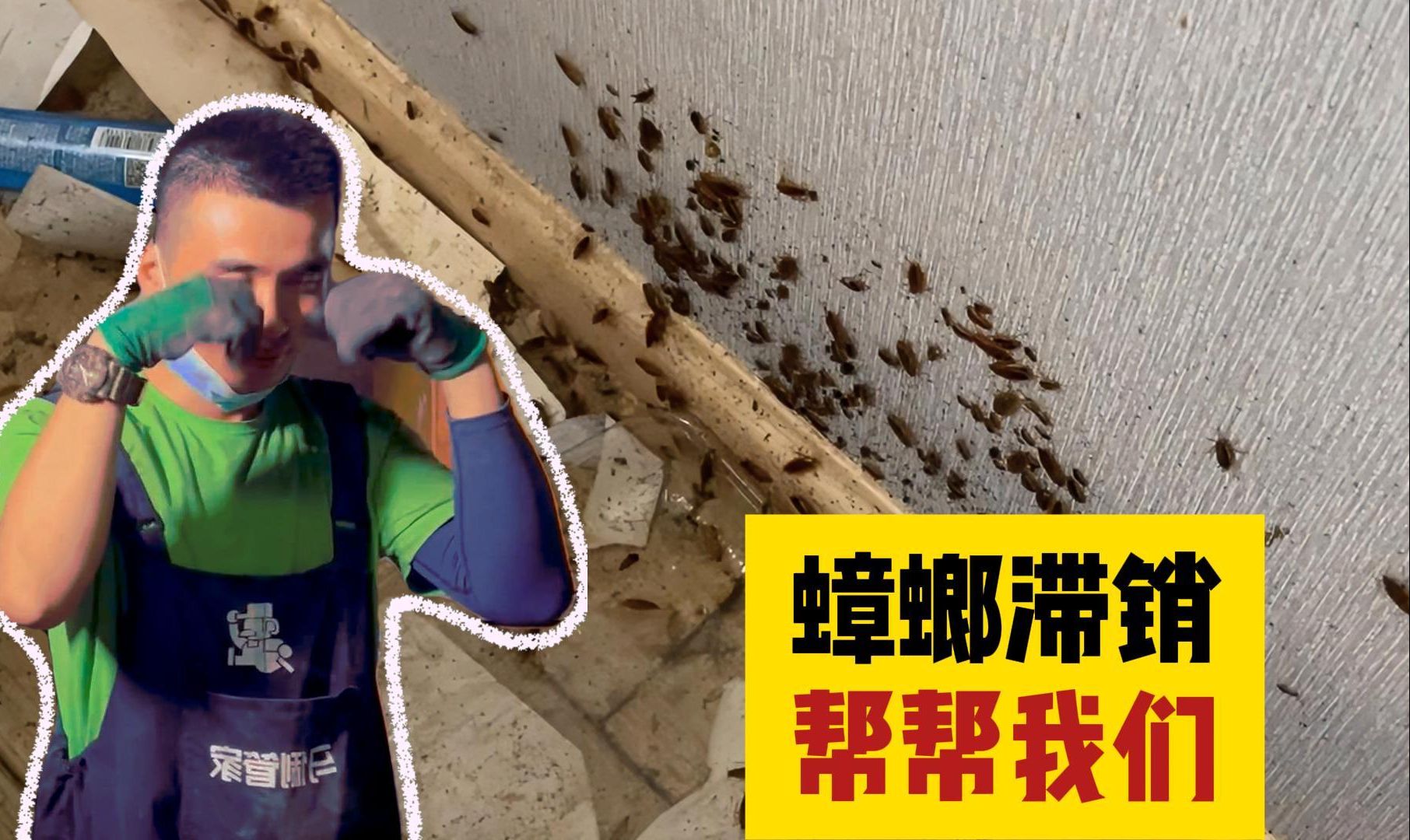 生化冰箱，鹦鹉骸骨，这里是虫族基地？