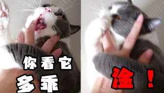 Sony Xperia Xz Vs Z5p对比评测 选择困难症的看过来 有字幕 哔哩哔哩 Bilibili