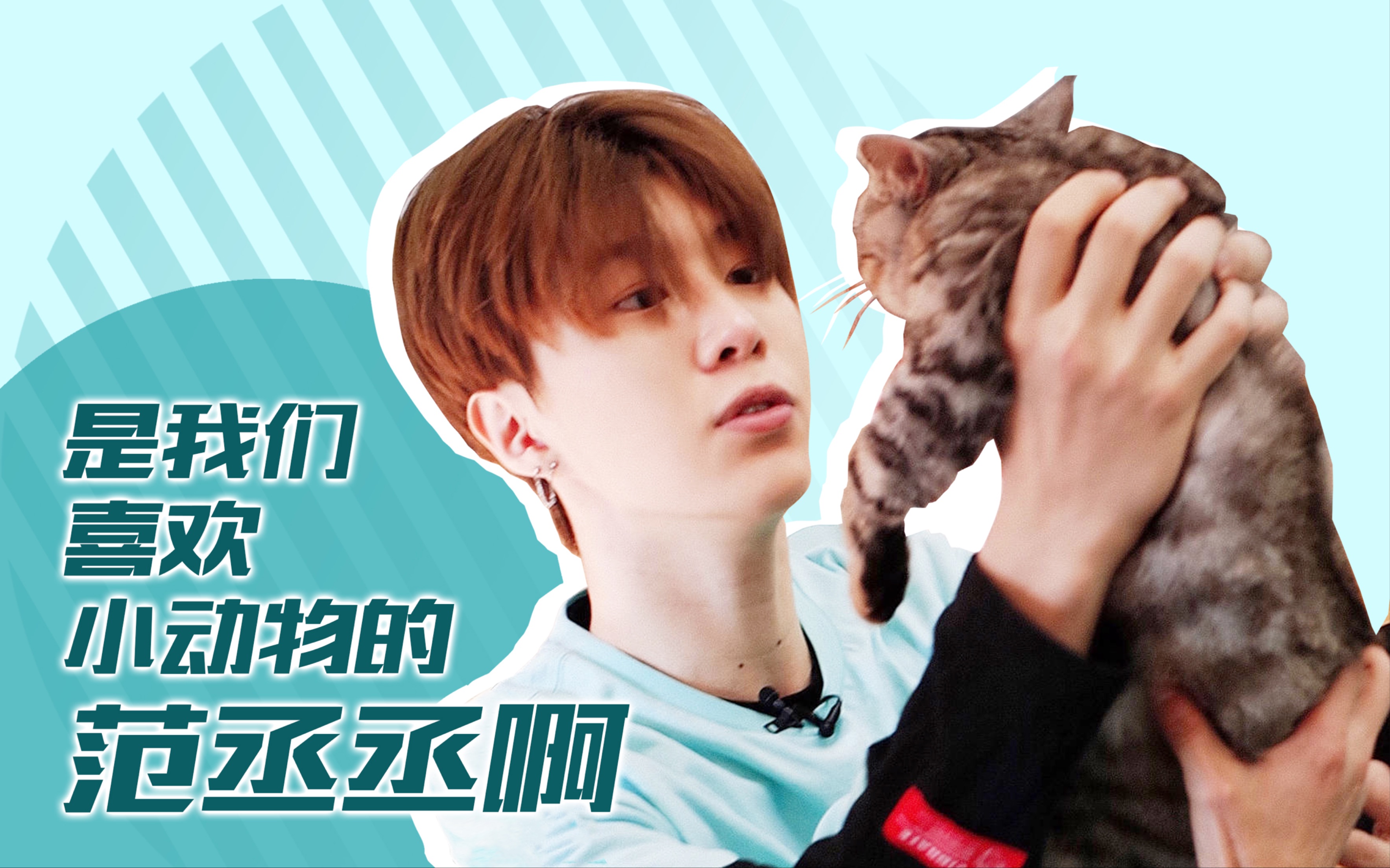 【范丞丞】奶fufu的大厂小橙与探班猫咪 治愈系_哔哩哔哩 (゜-゜)つロ