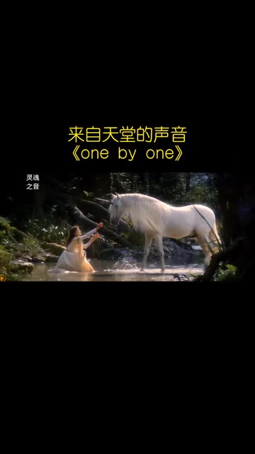 爱尔兰歌手恩雅金曲《One by One》,来自天堂的声音,轻柔舒缓,美轮美奂哔哩哔哩bilibili