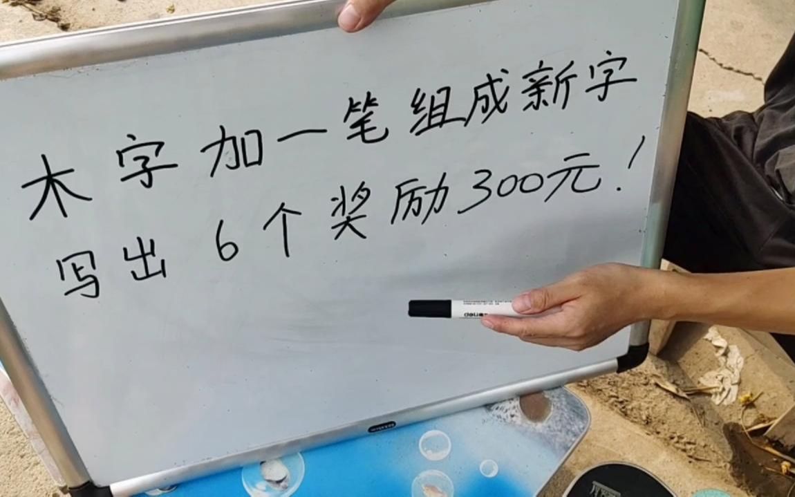 大叔摆摊木字加一笔写出6个新字奖300元,没想到来了一女孩,赔惨哔哩哔哩bilibili