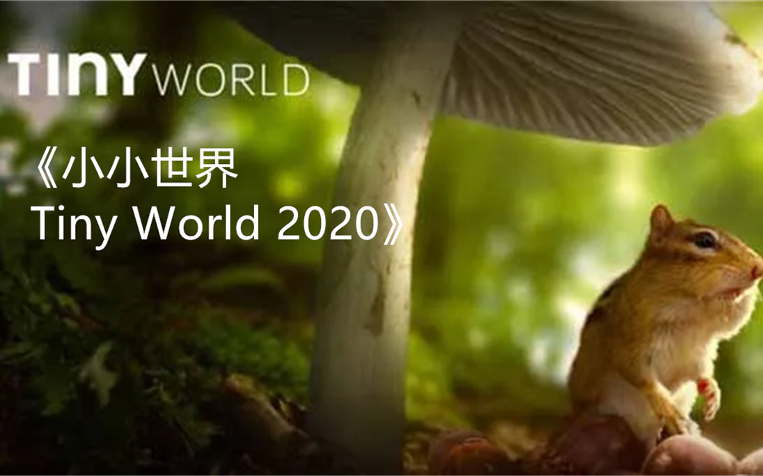 apple tv 纪录片《小小世界 tiny world 2020》第一季 6集全 中字英解
