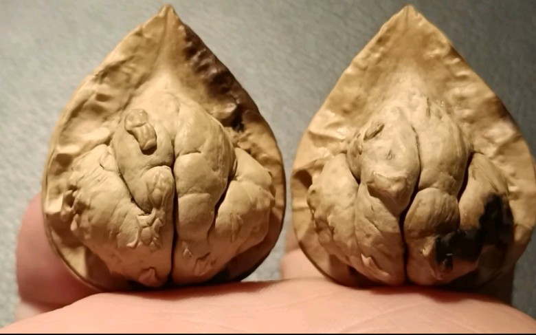 文玩核桃 31mm,云石观音,这蟾型带劲,肉感十足八腿全蹬_哔哩哔哩_bili