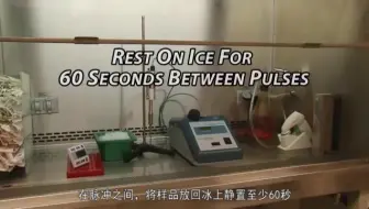 Bio-Techne 染色质免疫沉淀（ChIP）操作指南
